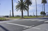 an empty street next to tall palm trees on a sunny day with the ocean in the background