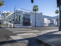 an empty street with a store front and building in the distance with palm trees next to it