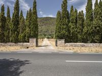 an empty street lined with tall trees and a stone wall in front of it,