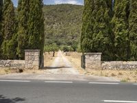 an empty street lined with tall trees and a stone wall in front of it,