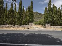 an empty street lined with tall trees and a stone wall in front of it,