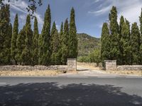 an empty street lined with tall trees and a stone wall in front of it,