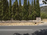 an empty street lined with tall trees and a stone wall in front of it,