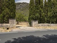 an empty street lined with tall trees and a stone wall in front of it,