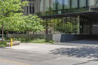 an empty street next to tall glass buildings and trees in front of a city building