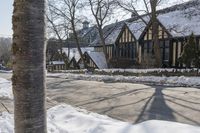 the street is empty with snow on the ground and houses next to it the tree branch casts a shadow