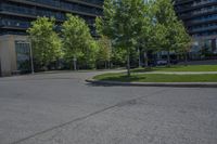 an empty street that has some trees growing in it along with the building to the right