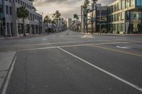 an empty street lined with buildings and palm trees on either side of the road is a crosswalk,