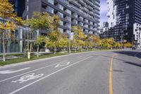 a empty street is pictured with many trees in the foreground and a man riding a bike