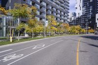 a empty street is pictured with many trees in the foreground and a man riding a bike