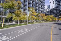 a empty street is pictured with many trees in the foreground and a man riding a bike