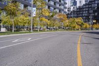 a empty street is pictured with many trees in the foreground and a man riding a bike