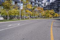 a empty street is pictured with many trees in the foreground and a man riding a bike