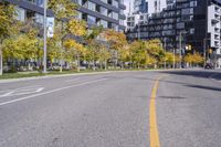 a empty street is pictured with many trees in the foreground and a man riding a bike