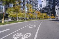 a empty street is pictured with many trees in the foreground and a man riding a bike