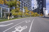 a empty street is pictured with many trees in the foreground and a man riding a bike