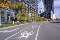 a empty street is pictured with many trees in the foreground and a man riding a bike