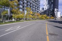 a empty street is pictured with many trees in the foreground and a man riding a bike