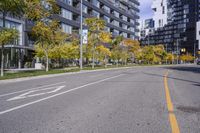 a empty street is pictured with many trees in the foreground and a man riding a bike