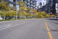 a empty street is pictured with many trees in the foreground and a man riding a bike