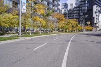 a empty street is pictured with many trees in the foreground and a man riding a bike