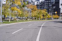 a empty street is pictured with many trees in the foreground and a man riding a bike