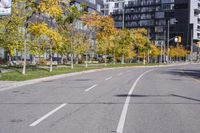 a empty street is pictured with many trees in the foreground and a man riding a bike