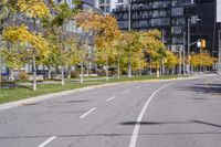 a empty street is pictured with many trees in the foreground and a man riding a bike