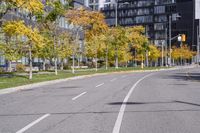 a empty street is pictured with many trees in the foreground and a man riding a bike