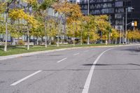 a empty street is pictured with many trees in the foreground and a man riding a bike