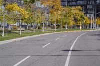 a empty street is pictured with many trees in the foreground and a man riding a bike