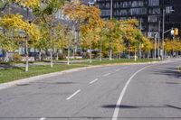 a empty street is pictured with many trees in the foreground and a man riding a bike