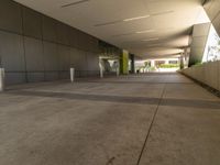 empty walkway with concrete walls and planters on side of walkway with yellow accent lighting