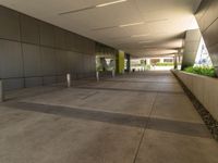 empty walkway with concrete walls and planters on side of walkway with yellow accent lighting