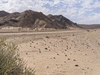 the desert with rocks and plants and dirt and blue skies over them on an african plain