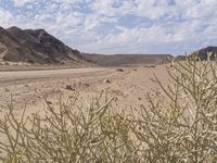 the desert with rocks and plants and dirt and blue skies over them on an african plain