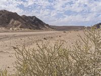 the desert with rocks and plants and dirt and blue skies over them on an african plain