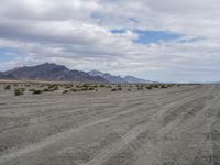 a wide empty dirt road in front of a high desert area in the foreground