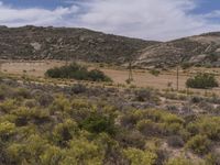 the dry landscape is very sparse in color for the photos to come up with it