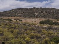 the dry landscape is very sparse in color for the photos to come up with it