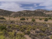 the dry landscape is very sparse in color for the photos to come up with it