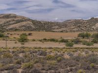 Endless Road in Africa Under Clear Sky 001