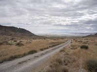 a dirt road runs through an arid desert plain with tall grass, dry hills and a clear sky