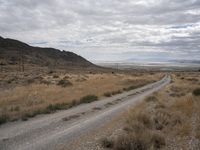 a dirt road runs through an arid desert plain with tall grass, dry hills and a clear sky