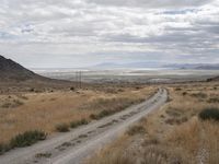 a dirt road runs through an arid desert plain with tall grass, dry hills and a clear sky