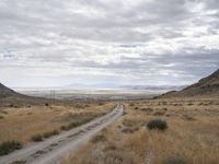 a dirt road runs through an arid desert plain with tall grass, dry hills and a clear sky