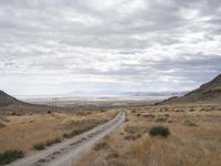 a dirt road runs through an arid desert plain with tall grass, dry hills and a clear sky