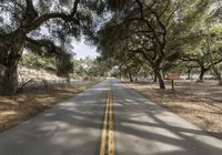 Endless Road Through California Rural Landscape