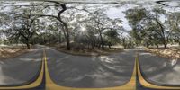 two sides of a road that is covered in trees on a sunny day, taken in fish eye