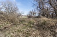 Endless Road in Colorado: Exploring the Rural Landscape